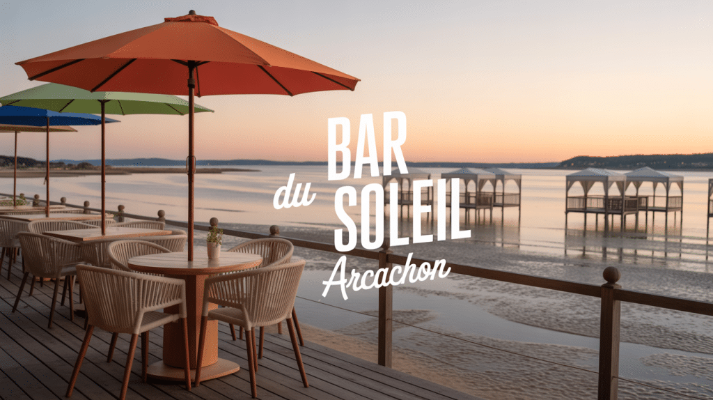 Terrasse bar du soleil Arcachon vue bassin